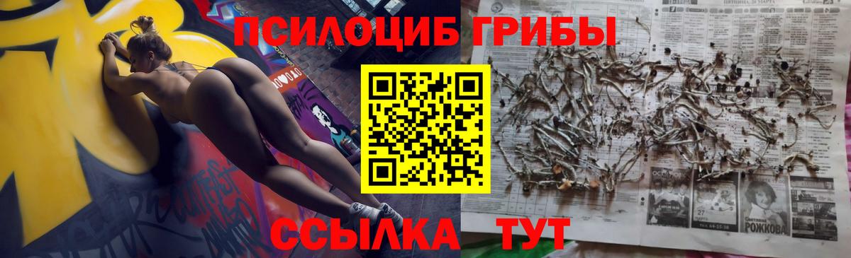 Галлюциногенные грибы Psilocybine cubensis  Вход с VPN  закладки  Бердск 
